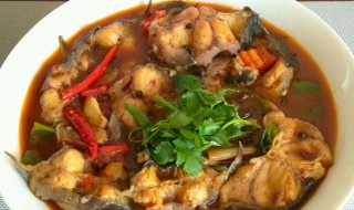 大鲶鱼如何做 大鲶鱼的做法与步骤