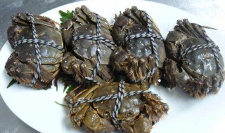 螃蟹的保鲜方法 螃蟹的保鲜方法有哪些