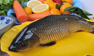 怎么做鱼滑嫩 鱼的做法介绍