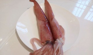 一整个鱿鱼怎么做 如何做一整个鱿鱼