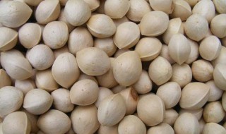 怎么做脆白果 脆白果做法简答介绍