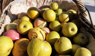 酸梨炮制方法 制作方法如下