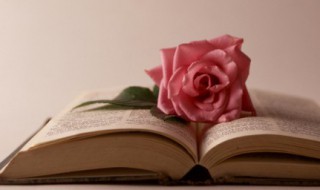 古典唯美语句淡淡忧伤 古典唯美伤感的句子