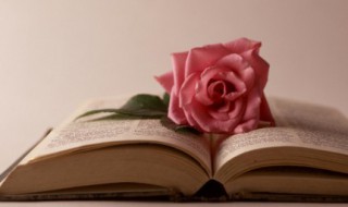 一缕阳光唯美的句子 写阳光的唯美句子