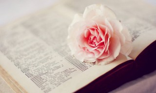 超精辟的经典人生句子 比较精辟的句子