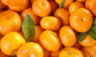 蜜桔怎么保存 需要注意什么
