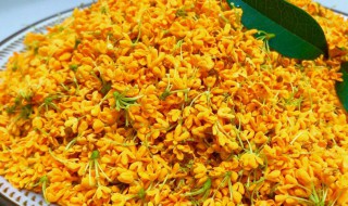 蜜桂花怎么做 蜜桂花怎么做好吃