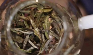 白茶怎么保存方法 白茶存放方法