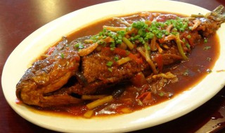 红烧草鱼怎么做 红烧草鱼的做法