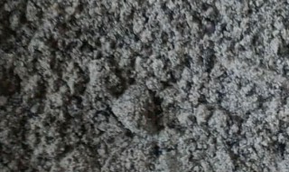 黑芝麻粉怎么做 有什么功效呢