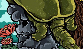 活甲鱼怎么处理做菜 活甲鱼怎么处理方法