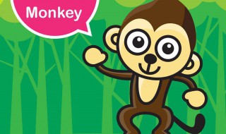 猴子英语怎么读 猴子的英语单词是什么