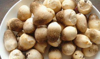 蒜香草菇如何做 需要加什么配料啊