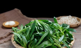 存放野菜的方法 这两种方法都很好用