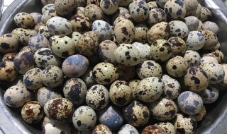 没有卤水如何做鹌鹑蛋 没有卤水制作鹌鹑蛋的方法