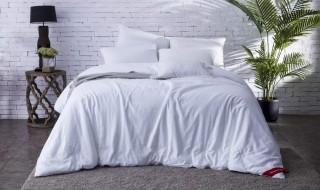 蚕丝被如何清洗 蚕丝被怎么清洗保养