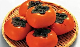 最简单的柿子醋做法 最简单的柿子醋怎么做