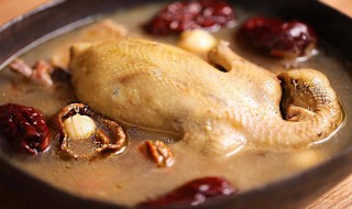 鸽子汤怎么炖最好吃 鸽子汤最好吃的炖法