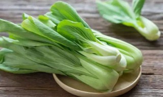 小白菜的种植方法和时间 小白菜的种植方法和时间是什么