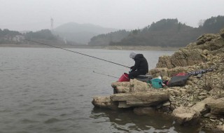 传统钓鱼的最佳方法 最好钓鲫鱼的传统方法