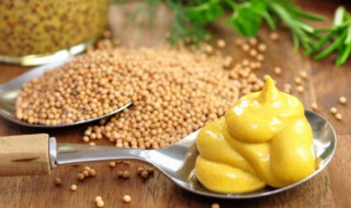 黄豆泥制作方法 黄豆泥制作方法介绍