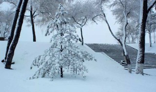 冬天的四字成语有哪些 冬天的四字成语精选