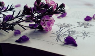 励志是什么意思 励志词语解释