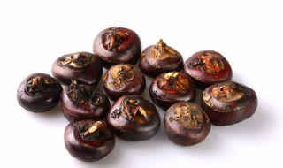 荸荠的吃法和做法大全炒菜 荸荠3种做法