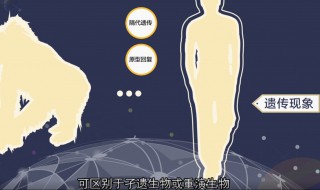 返祖现象什么意思 返祖现象的原因是什么