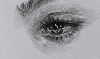 素描用什么型号的铅笔 素描该用什么型号的铅笔