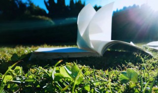 役怎么读 役的读音