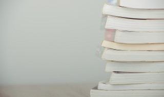 杨家岭的红旗指代什么 杨家岭的红旗是什么意思