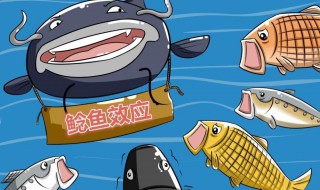 鲶鱼效应说明什么道理 鲶鱼效应介绍