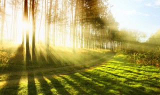 处暑祝福 处暑祝福是什么