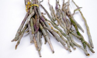 石斛怎样储存 石斛储存方法