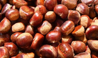 煮熟的板栗怎样储存 煮熟的板栗储存方法