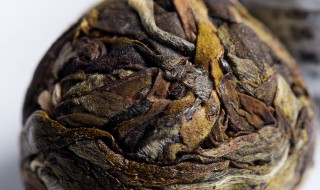 古树龙珠茶介绍 龙珠茶介绍