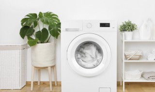 波轮洗衣机是什么意思 波轮洗衣机的解释