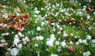 冰雹是什么意思 什么是冰雹