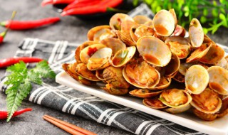 花甲怎么做才好吃 制作炒花甲的做法