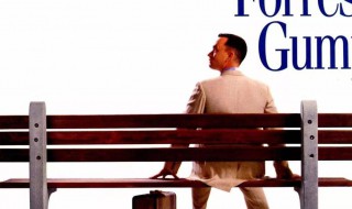 阿甘正传小说简介 关于阿甘正传内容简介