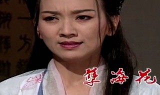 孽海花简介 小说孽海花简介