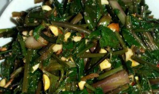 苦菜怎么凉拌好吃 苦菜怎么凉拌的好吃