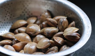 花蛤最快洗干净的方法 花蛤如何快速洗干净的方法