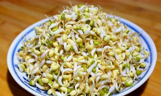 在沙子中如何发豆芽要详细方法 在沙子中如何发豆芽