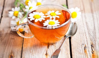 菊花茶不能和什么一起吃 菊花茶不能和哪些食物同吃