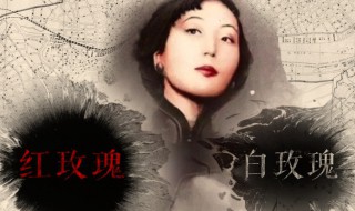 张爱玲一生简介 张爱玲生平简介