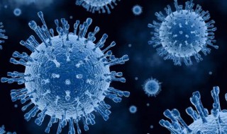 血凝是什么意思 血凝指的是什么