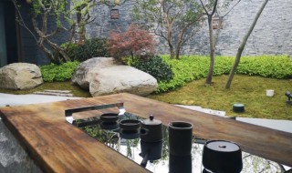 风雅是什么意思 风雅简单介绍