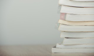 白龙马简介 白龙马的简介